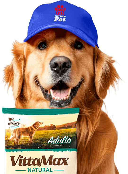 Matsuda Pet - Cão