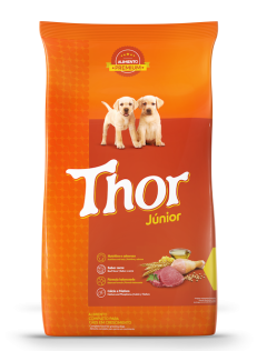 imagem do produto Thor Júnior